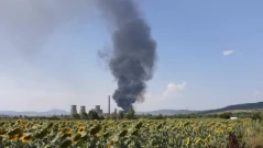 Пожар избухна край ТЕЦ "Бобов дол"
