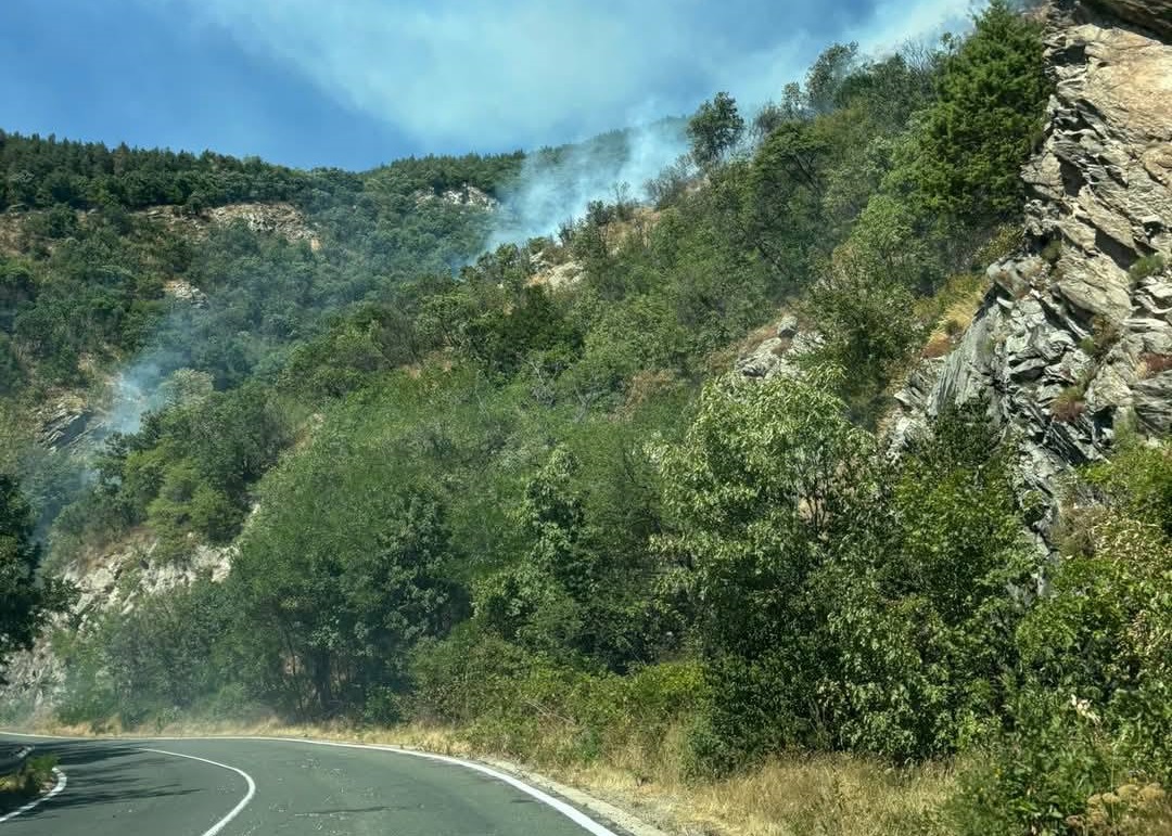 Четири екипа на пожарната гасят огъня пламнал край карловското село