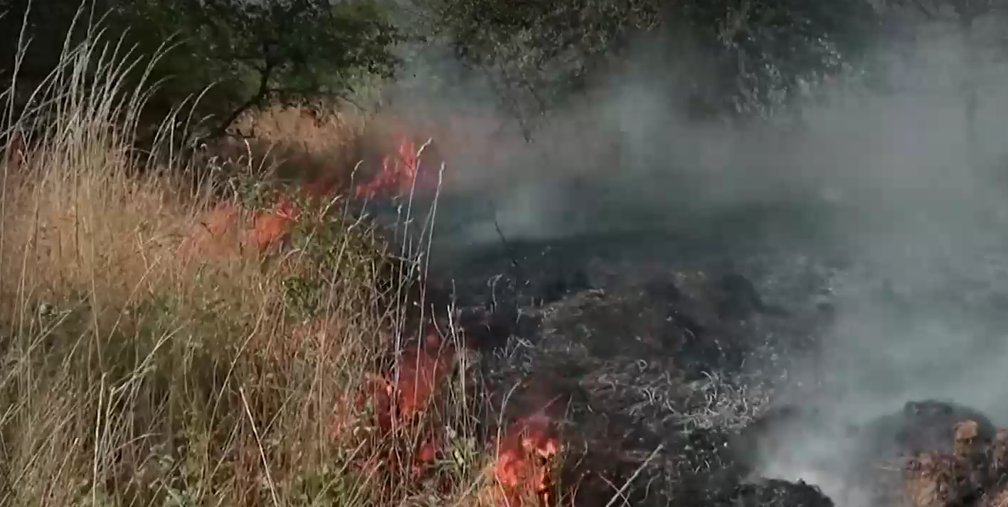Огнеборци с пет пожарни коли гасят пожар в местността Курткая