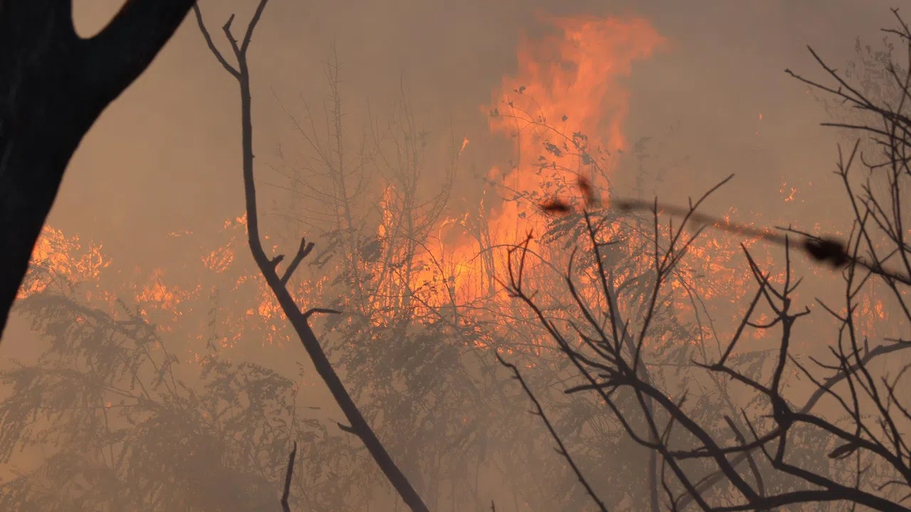 Голям пожар гори от двете страни на пътя между Вършец