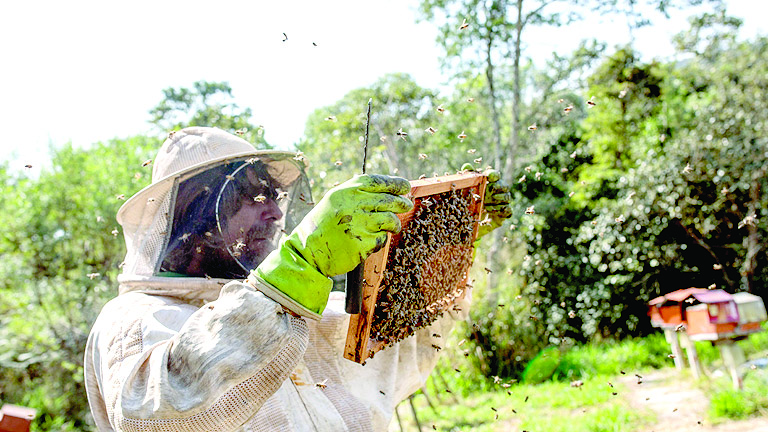 Скок в цените с поне 20 на сто предвиждат фермериНулев