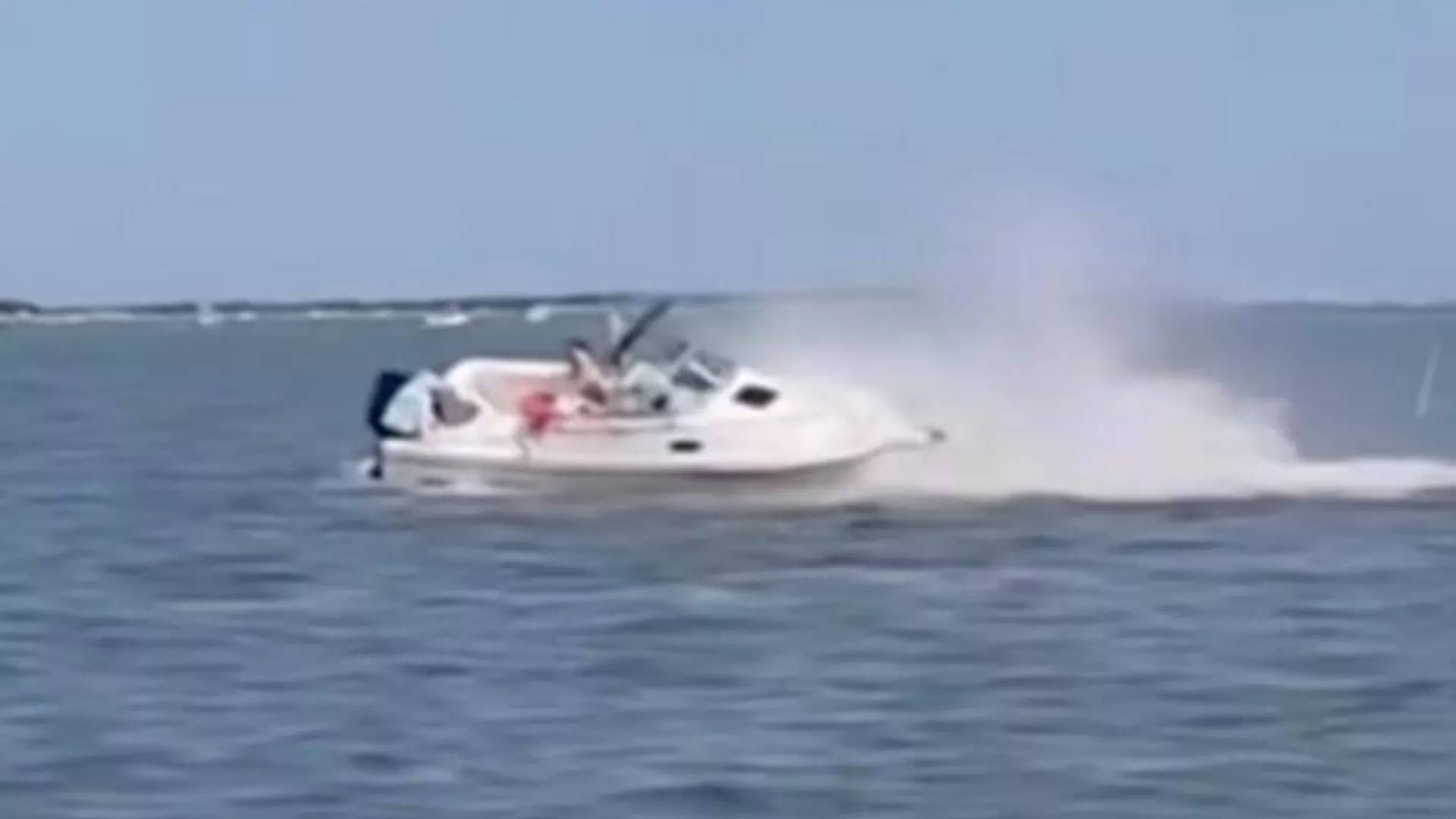 Кит загина след сблъсък с лодка в САЩЛодка се разби