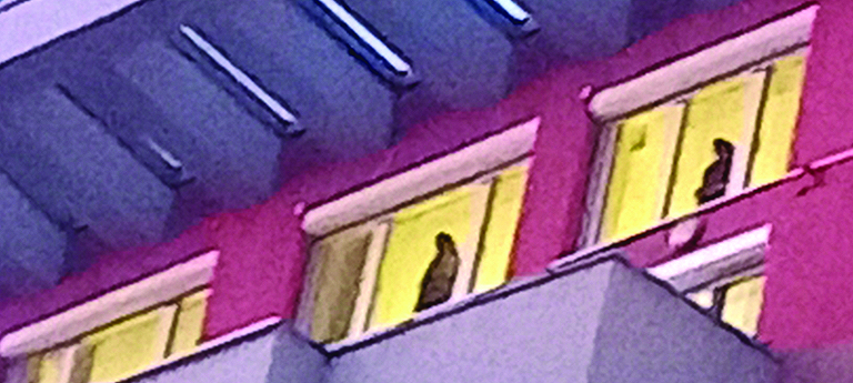 Полиция и жандармерия с акция продължила над два часа Два силуета