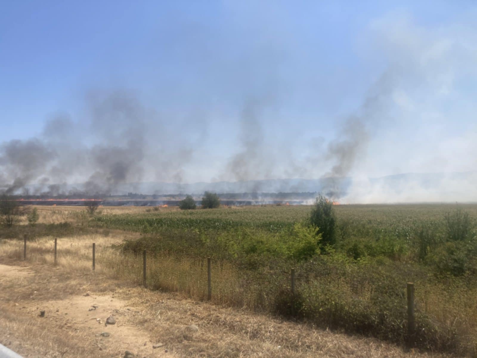 Пожар гори в района на 86 км на АМ Тракия