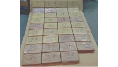 Българин замесен в трафик на кокаин за 5,5 млн. евро
