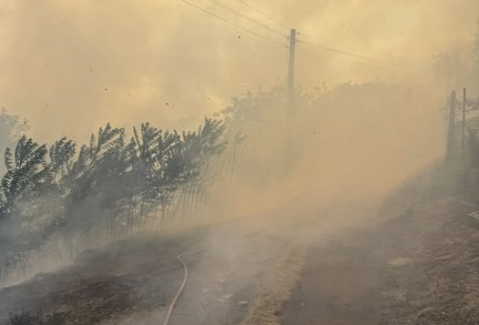 Пожарът във вилната зона в местността Седми километър край Стара