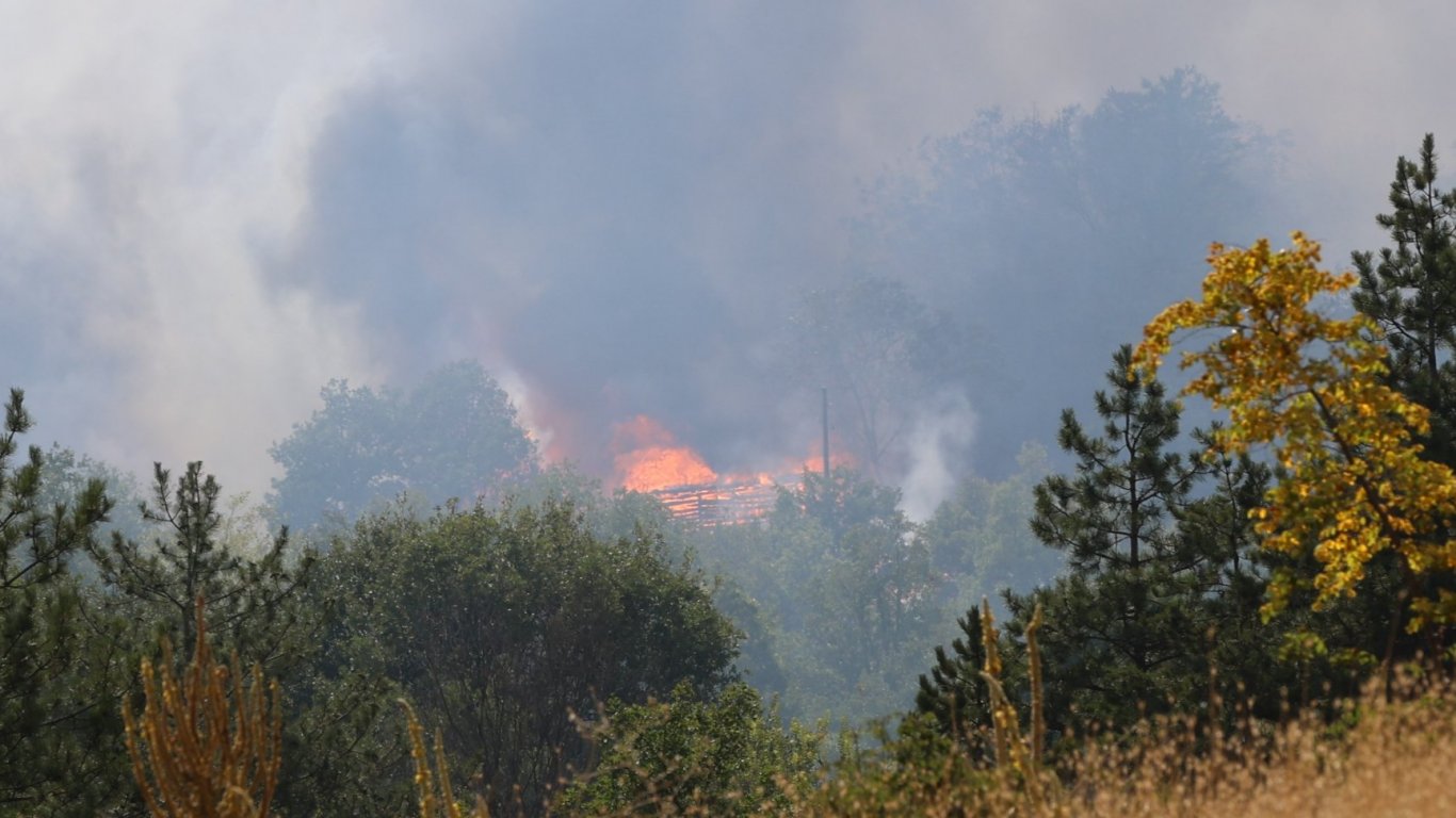 ДФ Земеделие даде 168 617 лв за фермери пред фалит