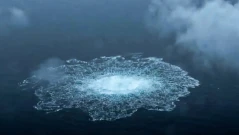 Берлин и Киев на нож заради взривяването на “Северен поток-2”