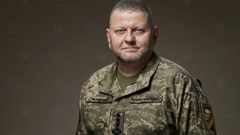 залужни