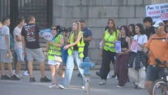 Шествие срещу домашното насилие се проведе в София