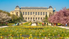 Крадци с тежко режещо оборудване откраднаха артефакти от Националния природонаучен музей в Париж на стойност 600 хил. евро