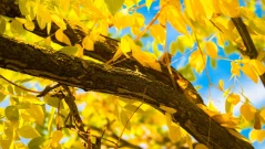 Слънчево време ни очаква днес