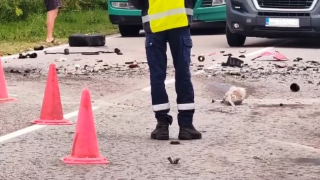 катастрофа обща