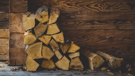 дърва