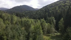 Мистериозен случай в Пирин: Изчезнал мъж преди повече от 10 г. беше открит жив в планината