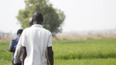 Геноцид над християните в Нигерия, Тръмп заплашва с война ислямските групировки