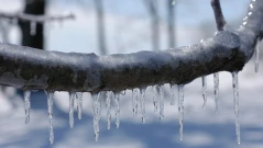 Арктически студ връхлита Европа: Очаква се "бурята на века"