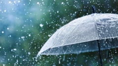 Облачно с валежи в края на седмицата