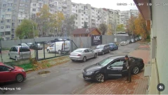 Лекар умишлено прегази кучето Мая, талисманът на кв. "Разсадника"