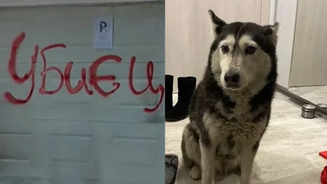 кучето Мая Роксана