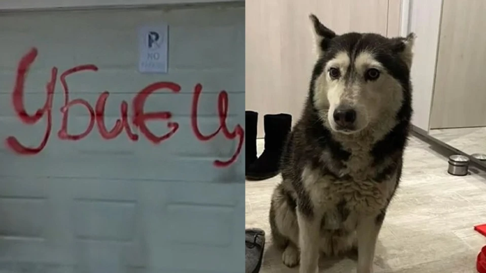 кучето Мая Роксана