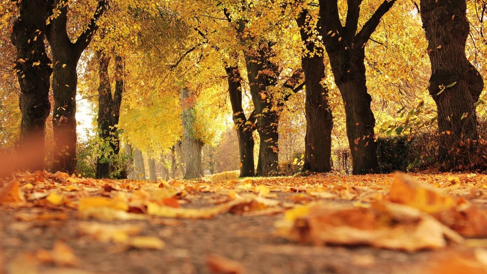 есен изглед