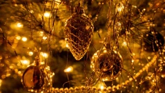 Къде се намира най-високата коледна елха в света:  Висока е 45 м и е „построена“ от 1300 смърчови дървета (ВИДЕО)