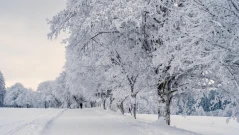 Зимата идва! Първи сняг на Балканите до часове