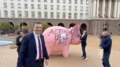 Депутати от ДПС надраскаха със спрей розовото прасе на ПП (ВИДЕО)