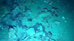 Колумбия откри съкровища в 300-годишен потънал военен кораб (ВИДЕО)