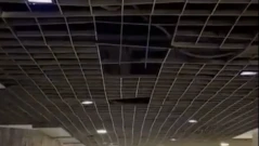 "Страх ни е да минем": Опасен подлез в София (ВИДЕО)