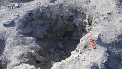 Мистерията в Перу: археолози разкриха кой е създал хилядите подредени дупки