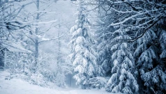 Ето кога в България ще завали сняг!
