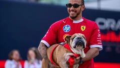 Големите спортисти и домашните им любимци