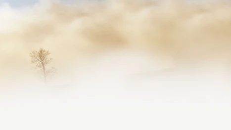 Снимка: Pixabay