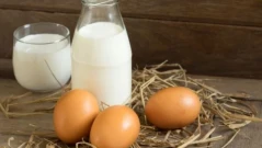 Не яжте месо, яйца и мляко днес!