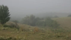 Странджа крие уникален феномен – какво се случва над планината?