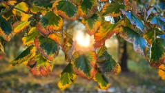 Топло и слънчево време в четвъртък