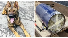 Куче спира канал за милиони в газови бутилки