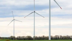 Бернската конвенция няма да отваря отново досието срещу България по случая "Калиакра"