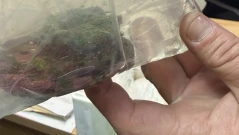 Необичаен контрабанден "товар" изненада наши митничари