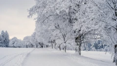 Астрономическата зима започва днес