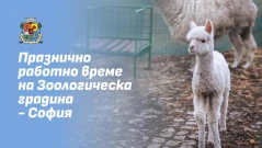Зоологическа градина - София затваря за посетители от 1 до 4 януари 2026 г.