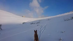 Спасиха двама туристи, тръгнали в планината по дънки и маратонки