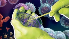 Какво крие най-зловещата фабрика за смърт в СССР