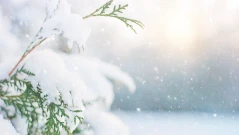 Слънце или студ: Какво ще е времето през уикенда