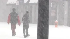 Лют студ сковава Европа: Полярният вихър е обърнат с главата надолу, целият континент ще го усети