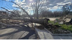 Официално: Ураганен вятър от над 122 км/ч. отчетоха в Пазарджик