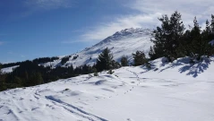 Издирват млад мъж в района на Витоша