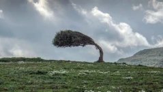 Ураганен вятър със 100 км/ч удари България